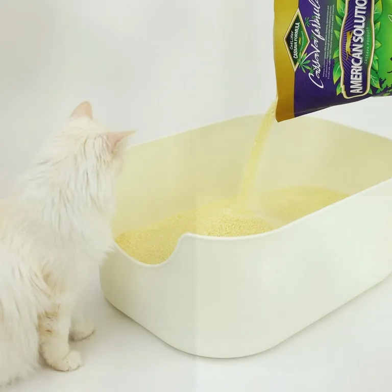 고양이모래가 고양이 화장실로 부어지는 모습