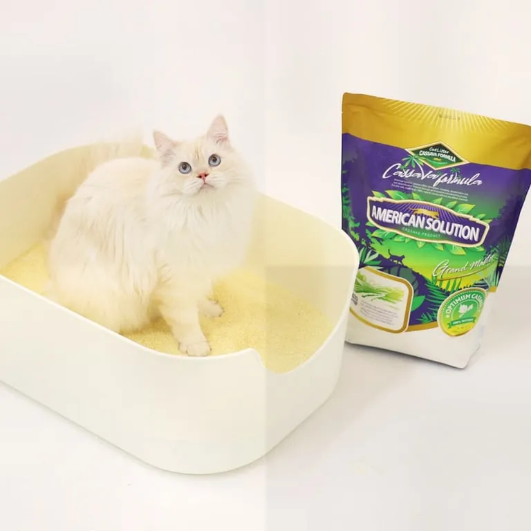 카사바 고양이모래로 뭉쳐진 응고물